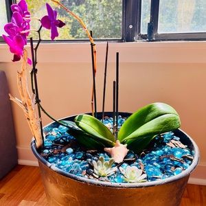 NWT & Preloved items